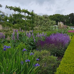 irland rundreise 2025_23